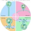 WiHoo Stroller Fan Battery Operated,Portable Fan Car Seat Baby Fan with Flexible Tripod,3 Speeds Rechargeable Clip on Fan,USB Mini Small Personal Fan for Crib Treadmill Camping and Travel (Blue) - Image 3