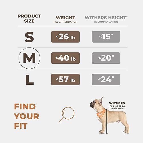Extra Stable Dog Car Seat - Reinforced Car Dog Seat for Medium-Sized Dogs with 4 Fastening Straps - Robust and Waterproof Pet Car Seat for The Back Seat of The Car (M Size, Grey) - Image 4