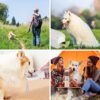 3-in-1 Portable Dog Water Bottle Dispenser,Crate with Food Container, Replaceable Waste Bags,Dog Stuff Accessories Items, Puppy Essentials Necessities,for Walking&Hiking (20oz-White) - Image 6
