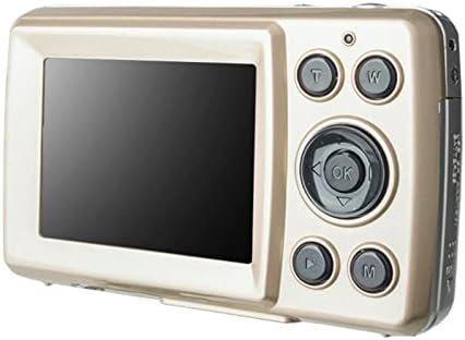 Portable Digital Camera, 2.4'' TFT HD Digital Compact Cameras, 16MP Zoom Recording Pocket Camera, Point and Shoot Cameras Mini Camerasfor Kids, Beginners,Teens(Gold)