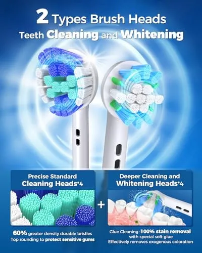 Rotating Electric Toothbrush for Adults with 8 Brush Heads (2 Types), 4 Modes Deep Clean Electric Toothbrush with Rechargeable Power and 2 Min Smart Timer, Fast Charge (Yellow) - Image 2