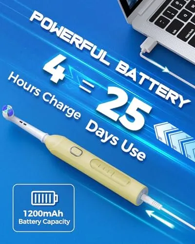 Rotating Electric Toothbrush for Adults with 8 Brush Heads (2 Types), 4 Modes Deep Clean Electric Toothbrush with Rechargeable Power and 2 Min Smart Timer, Fast Charge (Yellow) - Image 6
