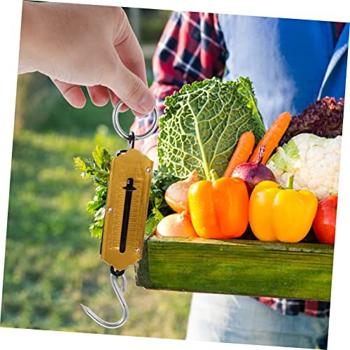 SUPVOX 2pcs Spring Scale Hanging Scale Fishing Pole Case Fishing Scale Vertical Weighing Scale Fruit Hook Portable Vegetables Scale Small Scale Weight Scale Hook Scale Iron Handheld Claim - Image 6