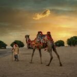 48 Hours: A Quick Guide to Chad Tourist Attractions