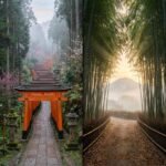 Kyoto in March: My No-Crowd Fushimi Inari and Arashiyama