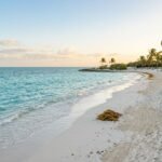 Cancun Sargassum Season: Your 2026 Beach Plan