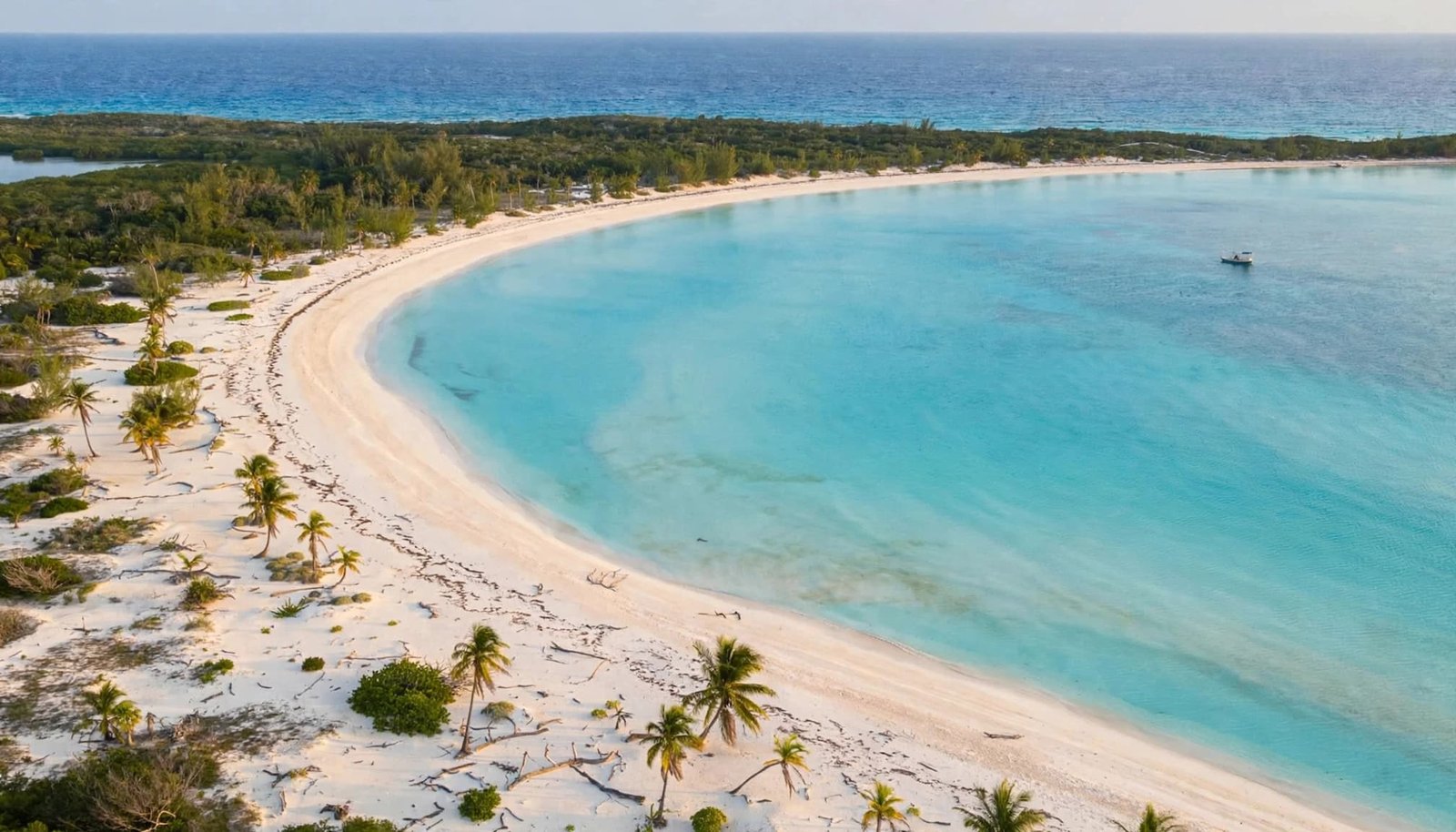 A curved sandy beach meets turquoise water beneath scattered palms on Little San Salvador Island.