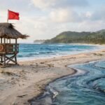 Caribbean Beach Safety: Read Flags and Check Currents